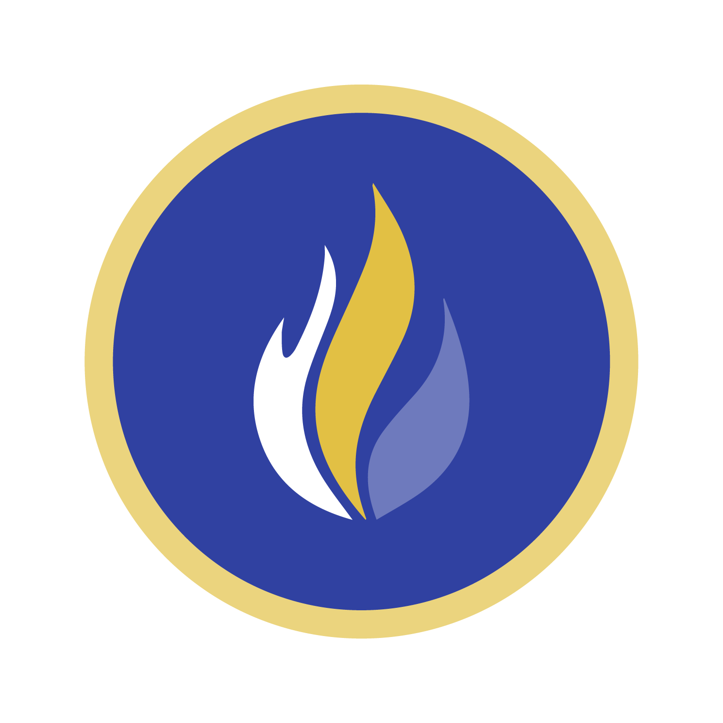 Fire Safety Rating Icon